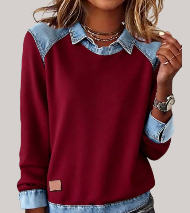 Erynn - Στυλάτο Καθημερινό Πουλόβερ